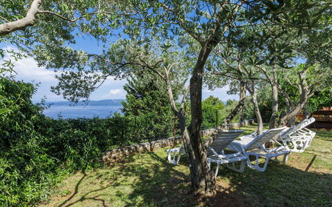 Lado Mediterraneo: Møbel, Udendørs Møbler, Stol, Skygge, Udendørs Bord, Stueplante, Gårdhave, Gård, Design, Altan