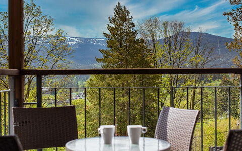 Panorama: Møbel, Udendørs Møbler, Stol, Skygge, Udendørs Bord, Stueplante, Gårdhave, Gård, Design, Altan