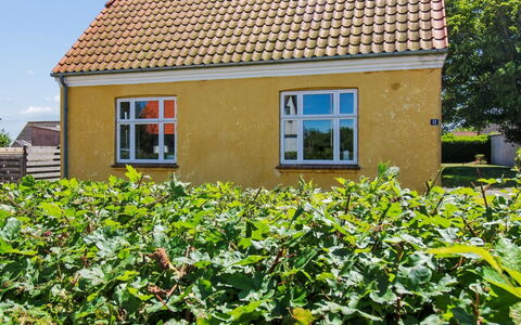 Toivo - 300M from the Sea: Grøn, Gul, Tag, Busk, Hus, Sommerhus, Land Lot, Landdistrikt, Have, Stuehus