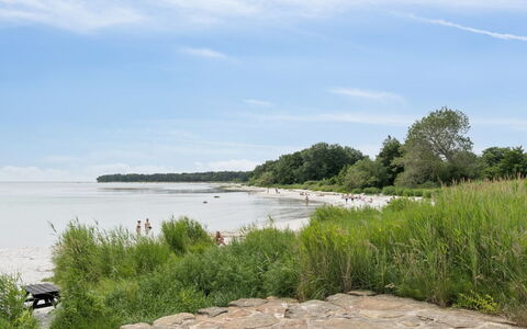 Toivo - 300M from the Sea: Kyst, Coastal Og Oceaniske Landskabsformer, Strand, Kyst, Bank, Hav, Ocean, Bugt, Tropics, Sand