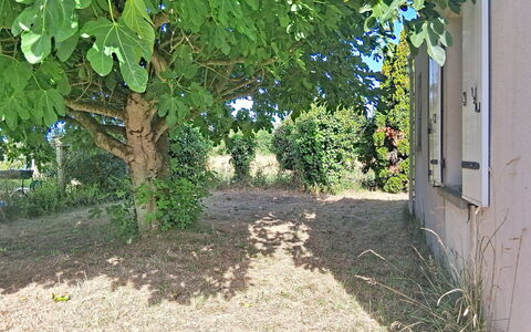 Arceau 3: Møbel, Udendørs Møbler, Stol, Have, Bejdse, Lawn, Hårdttræ, Skygge, Backyard