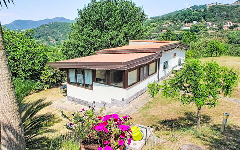 La Casa di Menny: Møbel, Udendørs Møbler, Stol, Have, Bejdse, Lawn, Hårdttræ, Skygge, Backyard
