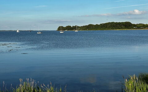 Snioulf - 800M from the Sea: Blå, Vand, Vandressourcer, Krop Af Vand, Coastal Og Oceaniske Landskabsformer, Horisont, Vandvej, Kyst, Bank, Sø