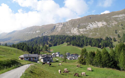 Olivone 611: Bjergrige Landskabsformer, Græs, Bjerg, Græs-, Bakke, Highland, Landskab, Almindeligt, Pasture, Bjergkæde
