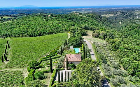 Caiarossa Tuscan Retrait: Møbel, Indretning, Gulvbelægning, Etage, Trægulve, Træ, Stol, Loft, Køkken & Spisebord, Bord