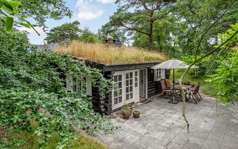 Armund - 50M from the Sea: Busk, Tag, Sommerhus, Hus, Hjem, Have, Garden Bygninger, Gård, Backyard, Estate