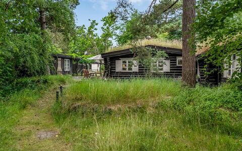 Armund - 50M from the Sea: Busk, Landdistrikt, Sommerhus, Land Lot, Hjem, Have, Garden Bygninger, Estate, Bjælkehytte