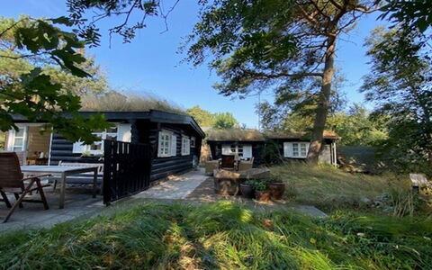Armund - 50M from the Sea: Sommerhus, Hjem, Hus, Tag, Landdistrikt, Tækning, Skygge, Garden Bygninger, Gård, Bjælkehytte