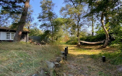 Armund - 50M from the Sea: Træ, Græs, Land Lot, Landdistrikt, Sommerhus, Bagagerum, Backyard, Jord, Have