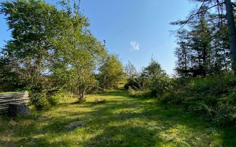 Armund - 50M from the Sea: Himmel, Blå, Græs, Blad, Naturligt Miljø, Grøn, Natur, Afdeling, Vegetationen, Naturlige Landskab