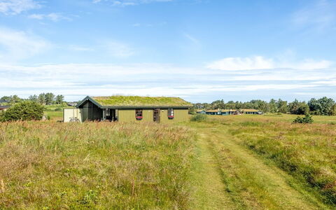 Satu - 1.5Km from the Sea: Græs, Grøn, Græs-, Naturlige Landskab, Almindeligt, Landdistrikt, Økoregion, Land Lot, Landskab, Prærie