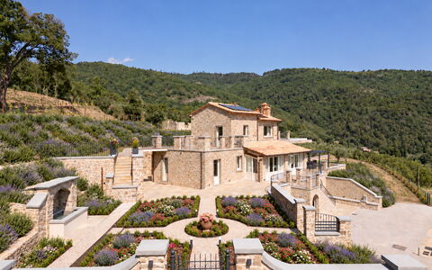 Villa Maddalena alla Guglielmesca: Busk, Estate, Have, Landscaping, Sommerhus, Stuehus, Villa, Mansion, Landsby, Hacienda