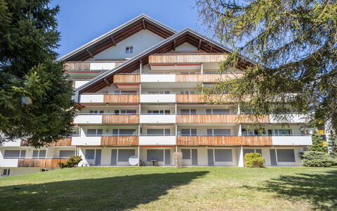 Val Signina 2-9: Sidespor, Lærk