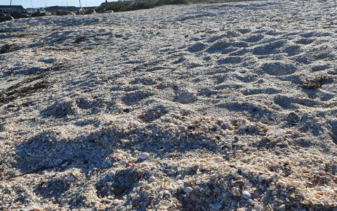 Gundula - 1.3Km from the Sea: Geologi, Jord, Sand, Vinter