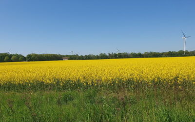 Gundula - 1.3Km from the Sea