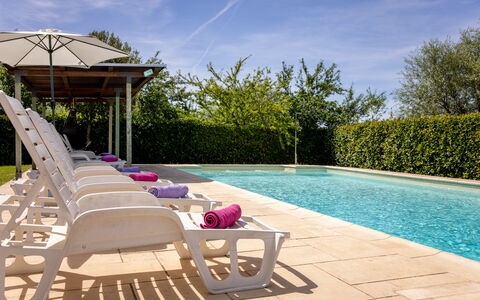 Il Cipresso, Casa Martina, Cortona: Svømmepøl, Udendørs Møbler, Møbel, Kompositmateriale, Have, Skygge, Udvej, Paraply, Landscaping, Stol