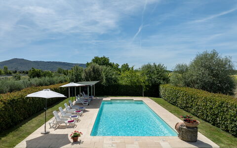 Il Cipresso, Casa Martina, Cortona: Svømmepøl, Have, Udvej, Kompositmateriale, Udendørs Møbler, Landscaping, Skygge, Estate, Hacienda, Eco Hotel