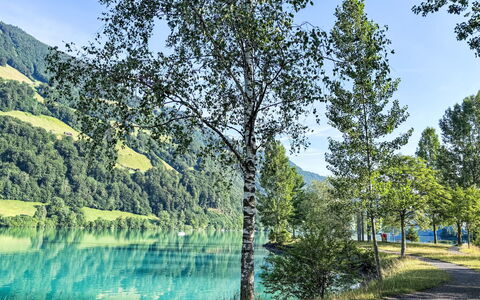 Ferienwohnung Enz: Blå, Vand, Vandressourcer, Grøn, Krop Af Vand, Natur, Naturlige Landskab, Naturligt Miljø, Vegetationen, Sommer