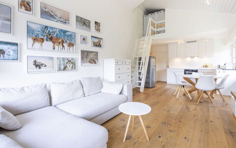 Casa Curnera 8: Indretning, Møbel, Gulvbelægning, Væg, Etage, Couch, Træ, Loft, Stue, Trægulve
