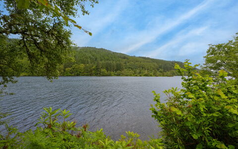 Loch Oich View (Lodge 6): Blå, Vand, Vandressourcer, Krop Af Vand, Grøn, Natur, Naturligt Miljø, Naturlige Landskab, Blad, Vegetationen