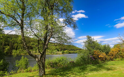 Loch Oich View (Lodge 6): Møbel, Køkken & Spisebord, Stol, Etage, Hav, Altan, Ocean, Udvej, Eco Hotel, Spisestue