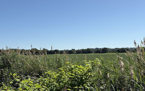 Vilmar - 450M from the Sea: Himmel, Blå, Grøn, Græs, Naturligt Miljø, Vegetationen, Græs-, Sommer, Økoregion, Plantesamfund