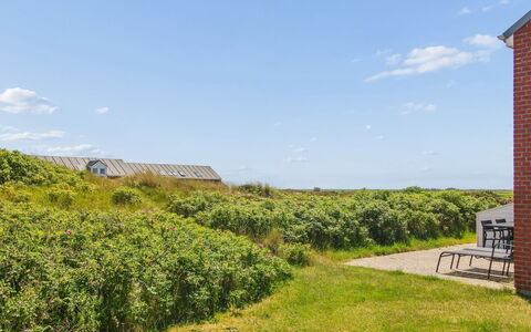 Majvi - 2.3Km from the Sea: Græs, Grøn, Vegetationen, Busk, Græs-, Landskab, Landdistrikt, Plantesamfund, Land Lot