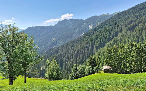 Eben: Bjergrige Landskabsformer, Grøn, Træ, Bjerg, Naturlige Landskab, Vegetationen, Bakke, Skov, Highland, Sommer