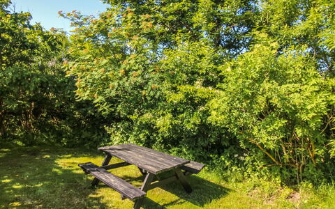 Ruka - 600M from the Sea: Blad, Grøn, Træ, Græs, Afdeling, Vegetationen, Busk, Sommer, Udendørs Bench, Græs-