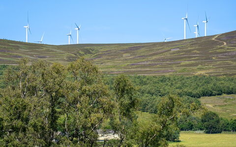 Strathnoon: Naturligt Miljø, Græs-, Økoregion, Landskab, Mark, Land Lot