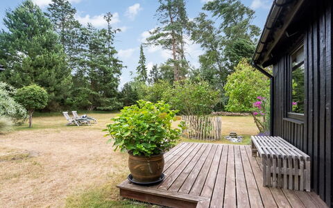 Thorunn - 250M from the Sea: Træ, Busk, Have, Land Lot, Plantesamfund, Bunddække, Sommerhus, Backyard, Skygge