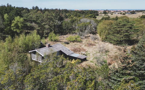 Inan - 800M from the Sea: Vegetationen, Busk, Plantesamfund, Hjem, Sommerhus, Landdistrikt, Estate, Shrubland, Stuehus