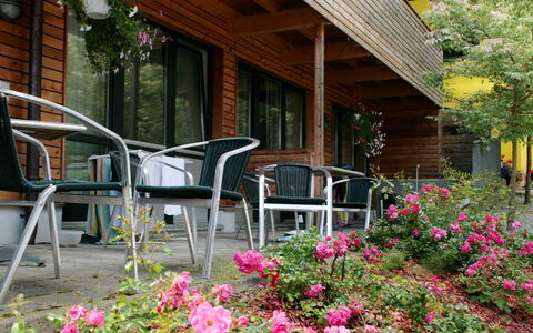 Zell am See 79: Blomst, Have, Gård, Skygge, Landscaping, Bejdse, Stueplante, Backyard, Blomsterkrukke, Blomsterhandlere