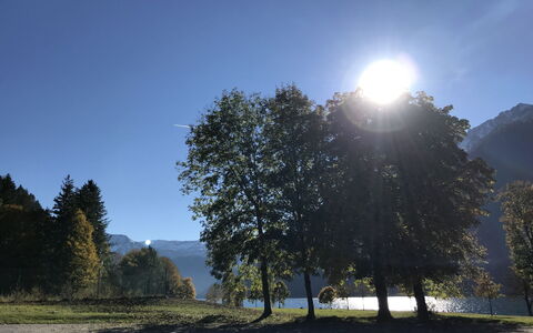 Achenkirch 622: Natur, Blad, Træ, Afdeling, Naturlige Landskab, Bakke, Landskab, Sol, Sollys, Hill Station