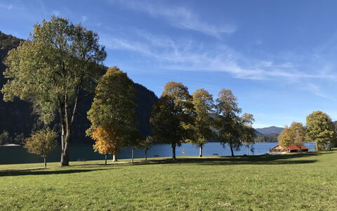 Achenkirch 622: Græs, Blad, Træ, Grøn, Natur, Naturligt Miljø, Naturlige Landskab, Græs-, Landskab, Bakke