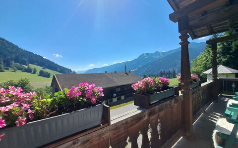 Grub: Bjergkæde, Altan, Blomsterkrukke, Stueplante, Blomsterhandlere, Eco Hotel, Alps, Bjerglandsby