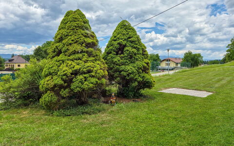 Haus Valentin: Blad, Busk, Have, Bunddække, Vedplante, Landscaping, Lawn, Botanisk Have, Evergreen