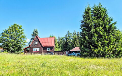 Golden View: Træ, Græs, Grøn, Hus, Sommerhus, Hjem, Land Lot, Landdistrikt, Landskab