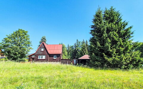 Golden View: Træ, Græs, Hus, Hjem, Sommerhus, Land Lot, Tag, Landdistrikt, Almindeligt