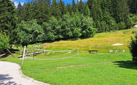 Grafenast: Træ, Lærk, Have, Parkere, Lawn, Udendørs Bench, Landscaping, Evergreen