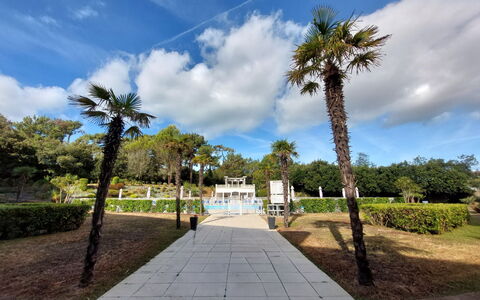 Confort, Piscine et Plage: Træ, Busk, Offentlige Rum, Have, Vedplante, Walkway, Landscaping, Skygge, Parkere
