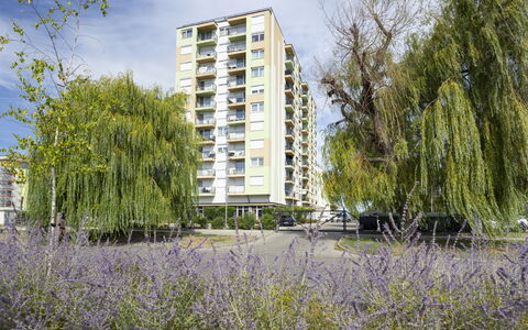 Silver: Daytime, Bygning, Lejlighed, Boligområde, City, Byområde, Kvarter, Facade, Ejerlejlighed
