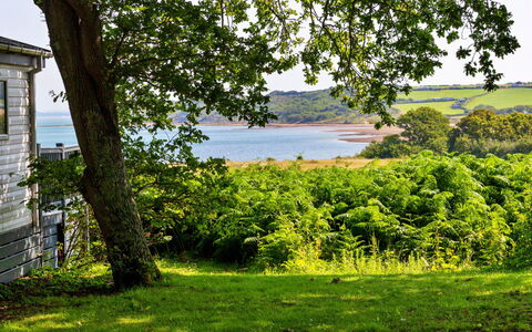 Seascape: Grøn, Natur, Naturlige Landskab, Vegetationen, Sommer, Busk, Landskab, Græs-, Plantesamfund