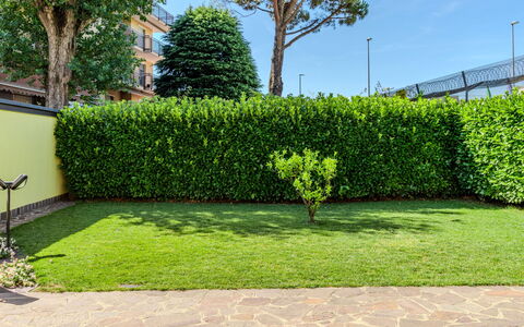 Villa Giulia: Grøn, Busk, Hæk, Have, Bunddække, Lawn, Landscaping, Skygge, Walkway, Kunstgræs