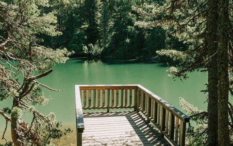 02 Nth031 Sup Chalet mit Sauna und Hot Tub 2 Etage: Natur, Træ, Naturligt Miljø, Træ, Skov, Ødemark, Bagagerum, Naturreservat, Woodland