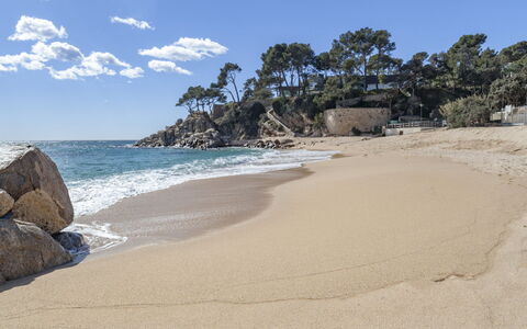 Sonnige Ferien: Kyst, Strand, Sand, Kyst, Coastal Og Oceaniske Landskabsformer, Hav, Bølge, Vind Wave, Ocean, Tropics