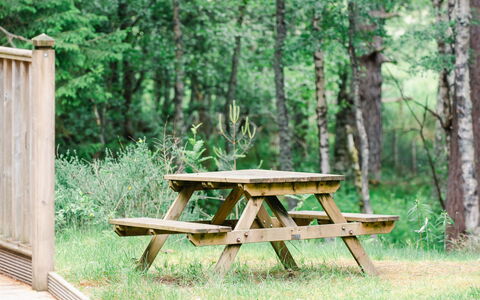 Feriebolig:&nbsp;Capercaillie Cabin 100.3