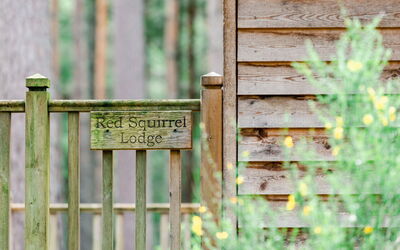 Feriebolig:&nbsp;Red Squirrel Lodge 100.2