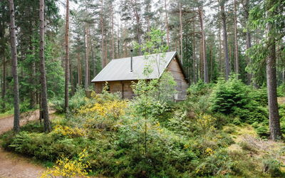 Feriebolig:&nbsp;Red Squirrel Lodge 100.2