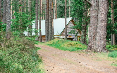 Feriebolig:&nbsp;Capercaillie Cabin 100.3